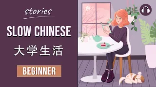 大学生活 | Slow Chinese Stories Beginner | Chinese Listening Practice HSK 2/3