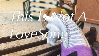 Schleich Music Video // Lovesong