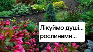 Лікую душі, рослинами.Хто зі мною?! Приєднуйтесь