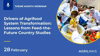 Drivers of Agrifood System Transformation: Lessons from Feed-the-Future Country Studies