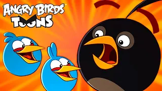 Angry Birds Toons Season 2 | Ep. 6 to 10