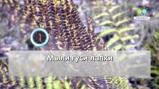 Два веселых гуся  Из мф Веселая карусель karaoke ru