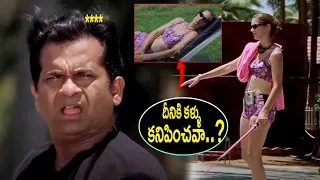 Brahmanandam Telugu Movie Hilarious Comedy Scene|@idreamguntur