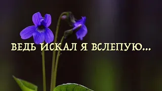 ВЕДЬ ИСКАЛ Я ВСЛЕПУЮ …