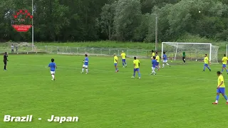 Brazil - Japan odigrana internacionalna utakmica u organizaciju Nk Naprijed iz Cirkovljana
