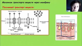 Механизм транспорта веществ через мембрану. Пассивный транспорт веществ. Диффузия.