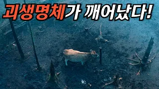 하필 잔혹한 『고대악마』를 깨워버린 인간들,,,흔치 않은 북유럽 판타지입니다..! 【결말포함 영화리뷰】