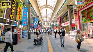 [Sapporo] subtitled explanations from locals! Walking through Tanukikoji / Hokkaido, Japan