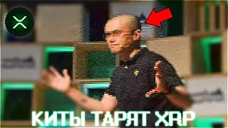 XRP & XLM ВЫКУПАЮТСЯ БЕШЕННЫМИ ТЕМПАМИ ПРЯМО СЕЙЧАС! КИТЫ НАКАПЛИВАЮТ ПОКА ТЫ ЖДЁШЬ! ПРОГНОЗ РИПЛ