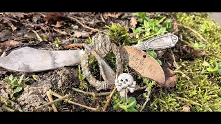 Коп по войне.По следам дивизии Герман Геринг.WW2 Metal detecting.