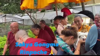 His Holiness The Sakya Gongma Rinpoche in Nepal, Boudha  // Tibetan vlogger//Nepal