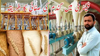 How to Make Clean Wheat in Factory || Wheat Flour Factory / Wheat Production.