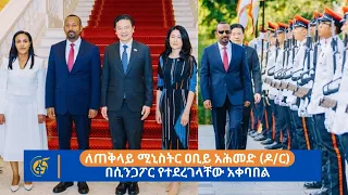 ለጠቅላይ ሚኒስትር ዐቢይ አሕመድ (ዶ/ር) በሲንጋፖር የተደረገላቸው አቀባበል