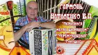 🎹🎶гармонь Наталенко Владимир Павлович /"Окрасился месяц багрянцем", "Черёмуха белая", "Голубка"/