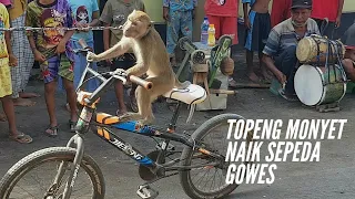 FUNNY MONKEY TOPENG MONYET NAIK SEPEDA GOWES LUCU.