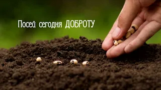 Посей сегодня ДОБРОТУ