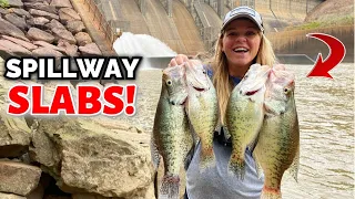 We Caught SLAB CRAPPIE at GIANT SPILLWAY! {Catch Clean Cook} + Live Minnows Vs Jigs Challenge!!!