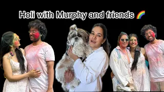 Murphy ko kyu garh  bapas aana pada  Holi party se?@murphytheshihtzu803