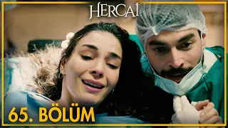 Hercai 65. Bölüm