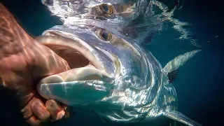 Fishing for GIANT Roosterfish in Costa Rica