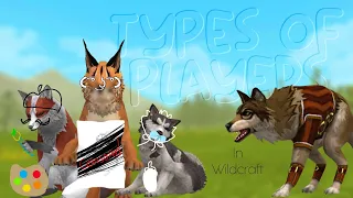 WildCraft: Types of players 🦔 | 16 types of players