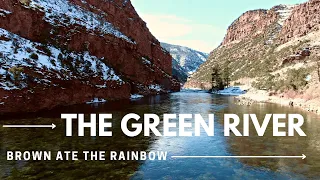 Utah Fly Fishing | The Green River - The Brown Ate the Rainbow