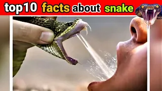 top10 intresting facts about snake🐍 #shorts #new #facts #amazing #top10 #hindi #science #snake