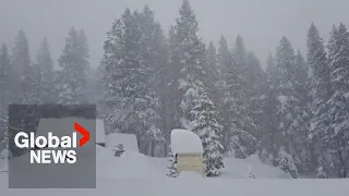 Blizzard in California whites out forests, highways as historic winter storm continues