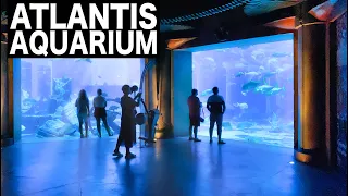 ATLANTIS - The Lost Chambers Aquarium Complete Tour | 4K | Dubai Tourist Attraction