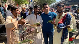 MAIN PARINDA NAHI PALON GA? FRAUD IN LALUKHET BIRD MARKET | PBI OFFICIAL