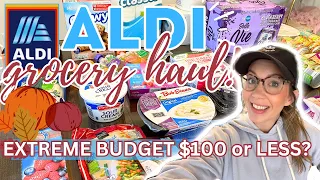 EXTREME ALDI GROCERY HAUL ON A BUDGET! $100 or LESS! / WEEKLY ALDI HAUL + MEAL PLAN with PRICES