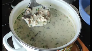 Грибной суп с курицей. Жульен. Проще простого!