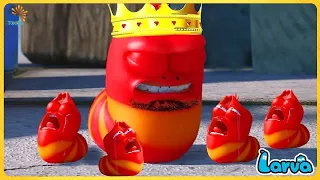 Larva Season 1 Episode 188 ~ 264 | The BEST of Cartoon Box | Larva Full Episode | New Cartoon Comedy