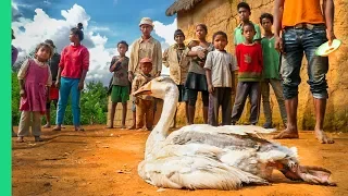 1 Goose/25 People!!! Food of Madagascar!!!