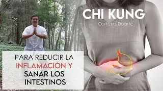 Como reducir la INFLAMACION y sanar tus INTESTINOS con ejercicios de CHI KUNG