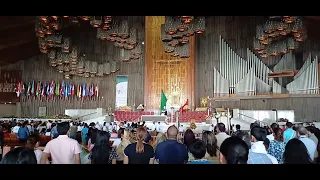Basílica de Guadalupe, 2023