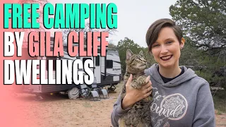 Free Camping Near the Gila Cliff Dwellings - Gila National Forest South - Campsite Review