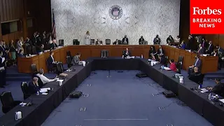 Senate Holds Hearing On Congressional Oversight And Executive Privilege