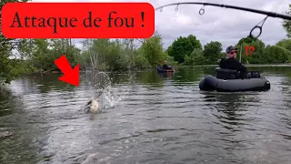 OUVERTURE 2022 - Ce POISSON me fait une ATTAQUE de FOU ! (Pêche en float tube)