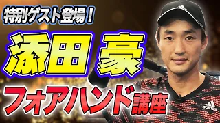 遂に現役プロ参戦！添田豪選手会長のフォアハンド講座【添田豪】【鈴木貴男】【小野田倫久】【テニス】