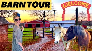 COME TOUR MY HORSE BARN|FREE SPIRIT FARM