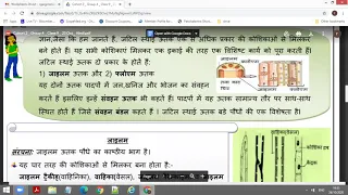 worksheet 48,class 9,HINDI MEDIUM,संवहनीय उत्तक,#जाइलम और फ्लोएम