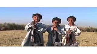 Chotu Gang - Samaa Tehelka - 14 April 2016