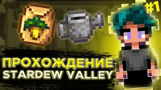 ЗНАКОМСТВО с ЖИТЕЛЯМИ и маленький ОГОРОД ⇒ Stardew Valley #1