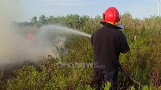 Zjarri i fuqishëm pranë bregdetit të Tales në Lezhë