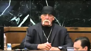 Hulk Hogan V Gawker Trial Day 2 Part 3 03/08/16