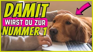 Wenn du DAS tust, bist du die Nummer 1 für deinen Hund