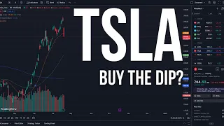 TSLA What's next after the EARNINGS?