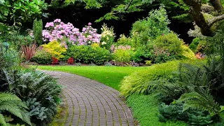 Садовый участок Примеры дизайна и благоустрпойства / Garden plot Examples of design and arrangement