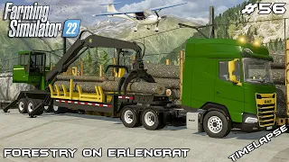 Cutting LOGS w/ John Deere 437D SawBuck | Forestry on ERLENGRAT | Farming Simulator 22 | Episode 56